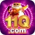 11q VIP v5.0.8
